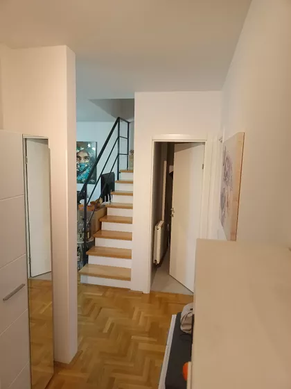 Dušanova | 4zida.rs