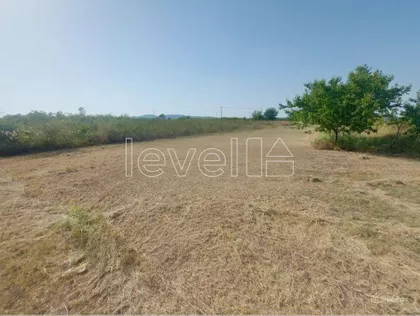 Krušedol Selo | 4zida.rs