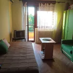 Podbara, Gradske lokacije, Novi Sad | 4zida.rs | 4zida.rs