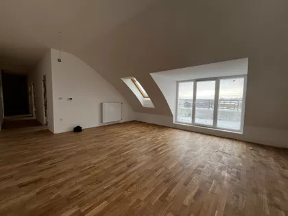 Petrovaradin | 4zida.rs