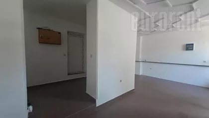 ZELENI VENAC | 4zida.rs