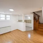 Novi Sad - Centar, Stari Grad, Gradske lokacije, Novi Sad | 4zida.rs | 4zida.rs
