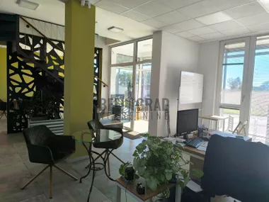 Bogoljuba Petkovića