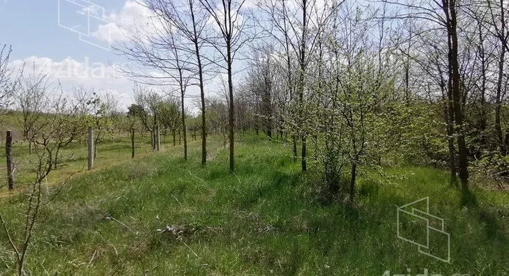 Plac | 4zida