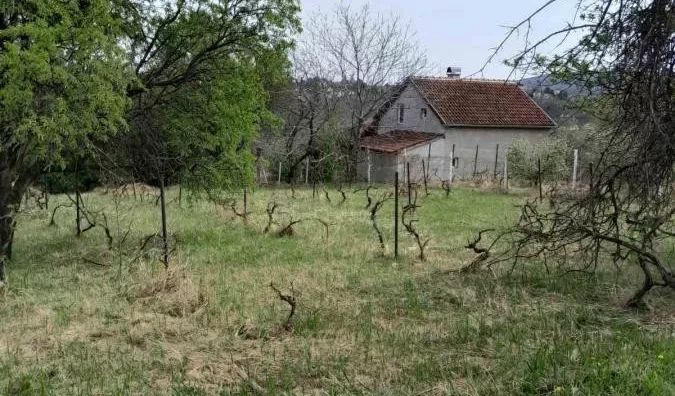 Plac | 4zida