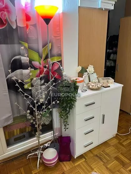 Bulevar Arsenija Čarnojevića | 4zida.rs