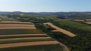 Vrdnik
