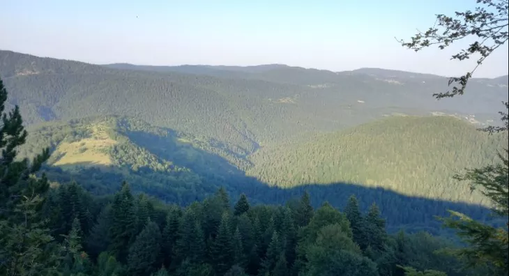 Poljoprivredno zemljište | 4zida