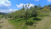 Poljoprivredno zemljište | 4zida