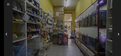 Nova Detelinara | 4zida.rs