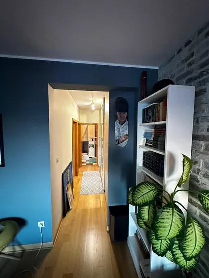 Vojvode Stepe | 4zida.rs