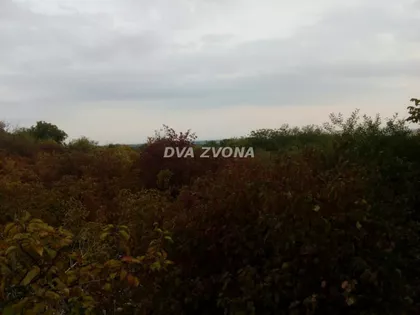 Novi Slankamen | 4zida.rs