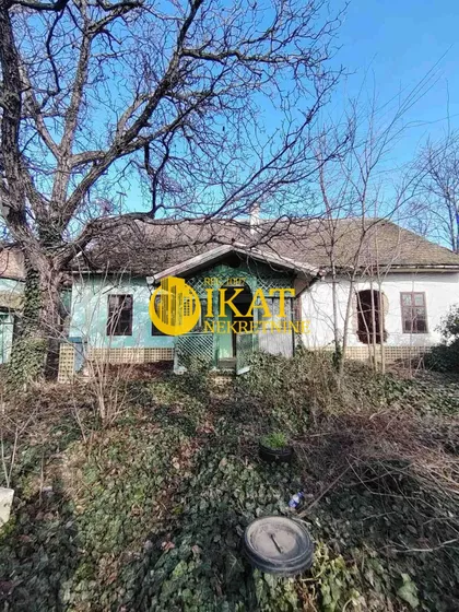 Jovana Rajića | 4zida.rs