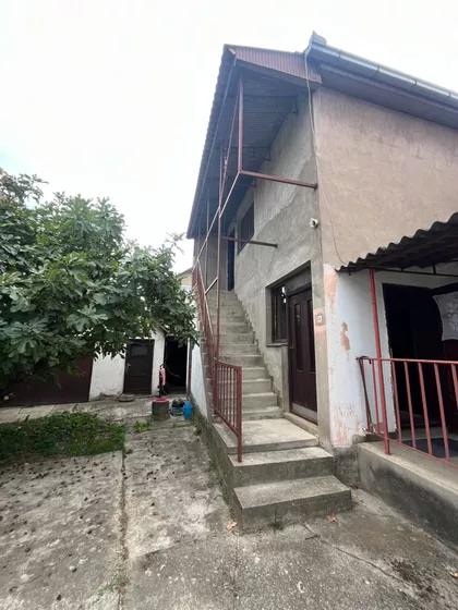 Majur | 4zida.rs
