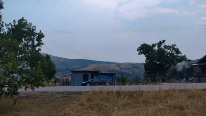 Gajevi | 4zida.rs