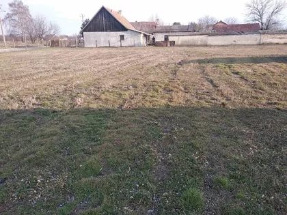 Srpski Šor | 4zida.rs