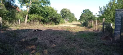 Braće Trninić | 4zida.rs