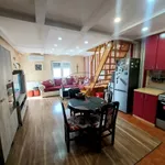 Novi Sad, Gradske lokacije, Podbara | 4zida.rs | 4zida.rs