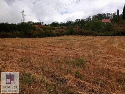 Mislođin | 4zida.rs