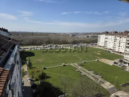 Dr Ivana Ribara | 4zida.rs