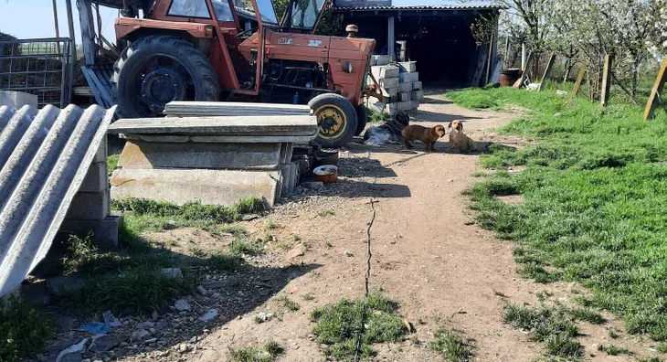 Poljoprivredno zemljište | 4zida