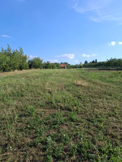 Boleč | 4zida.rs
