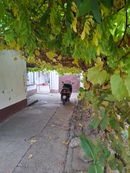 Gradske lokacije | 4zida.rs