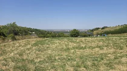 Sentić | 4zida.rs