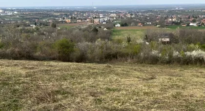 Đorđa Velića | 4zida.rs