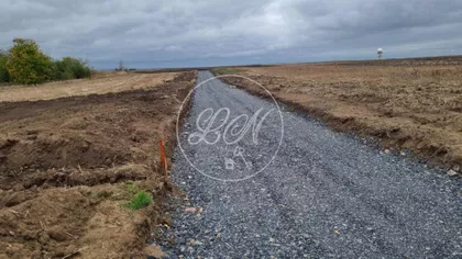 Carice Milice | 4zida.rs