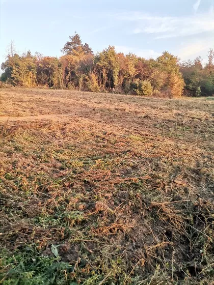 Kragujevacki put | 4zida.rs