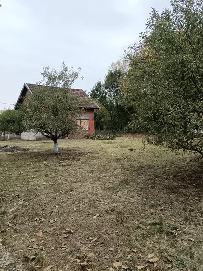 Tiski Red 7 | 4zida.rs