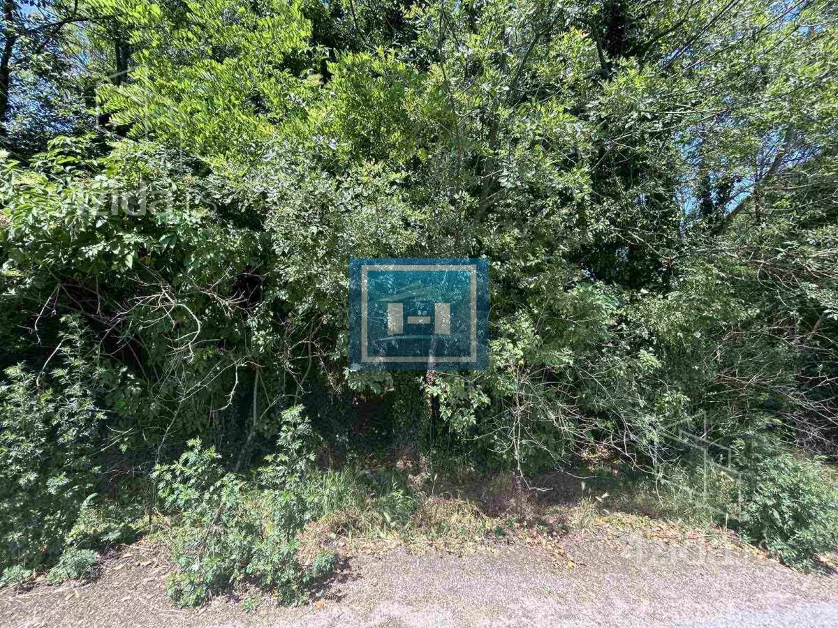 Plac | 4zida