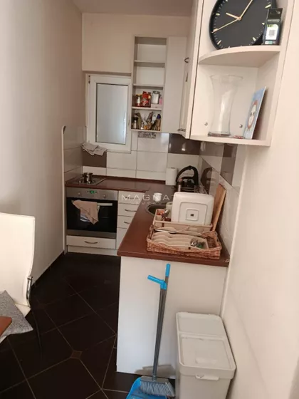 Crveni Krst Vračar | 4zida.rs