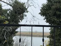 Žabalj, Okolne lokacije, Čurug | 4zida.rs | 4zida.rs