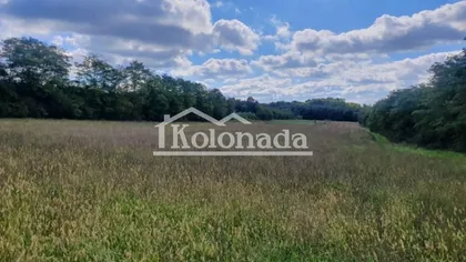 Kosmajski trg | 4zida.rs