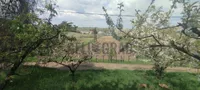 Plac | 4zida