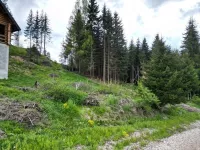 Plac | 4zida