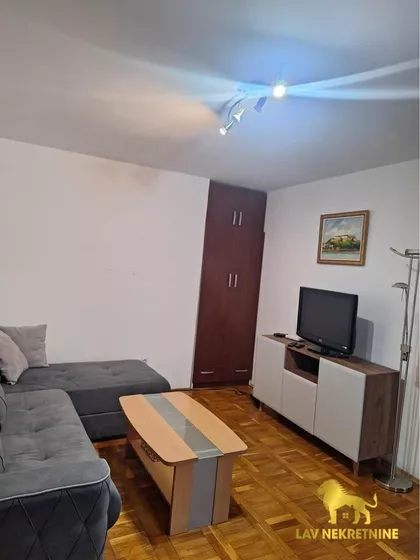 DR SVETISLAVA KASAPINOVIĆA | 4zida.rs