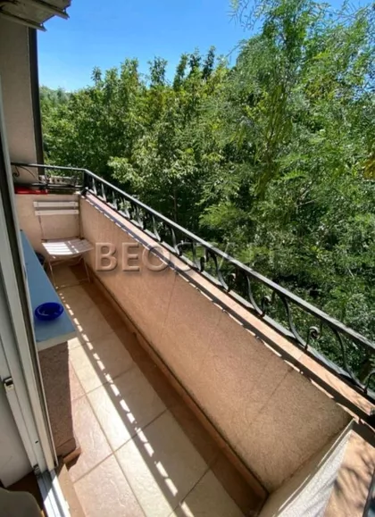 Steve Zigona | 4zida.rs