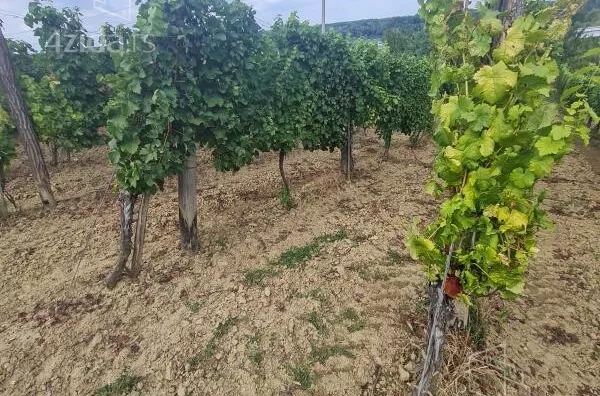 Poljoprivredno zemljište | 4zida