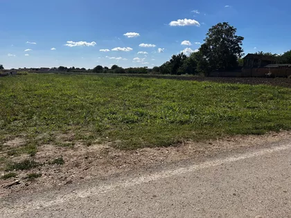 Jarkovci | 4zida.rs