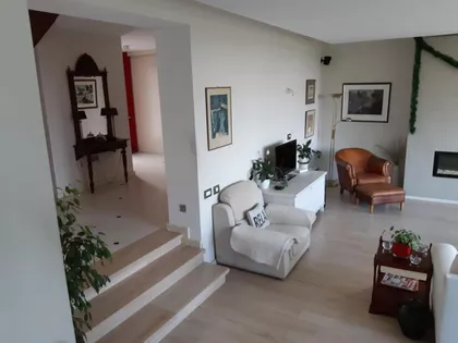 Petrovaradin | 4zida.rs