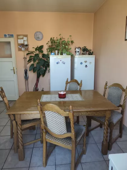 Cara Dušana | 4zida.rs