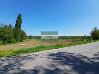 Dragocvet | 4zida.rs