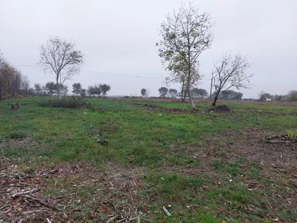 Beogradski Put | 4zida.rs