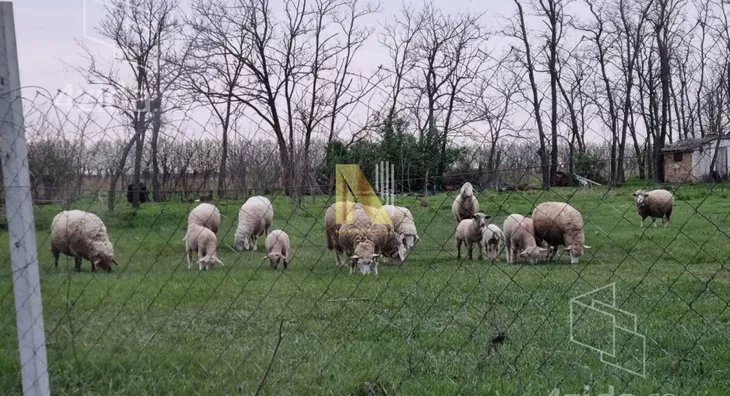 Poljoprivredno zemljište | 4zida