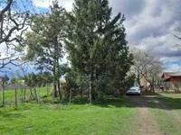 Pančevo, Gradske lokacije, Misa | 4zida.rs | 4zida.rs