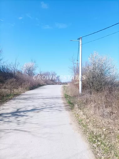 Popović