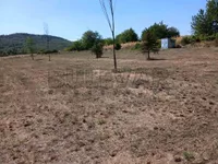 Vinik, Pantelej, Gradske lokacije, Niš | 4zida.rs